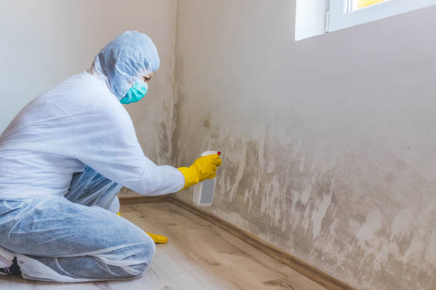 Licensed Commercial Mold Remediation service in Warrenton, OR - WQB Mold Removal