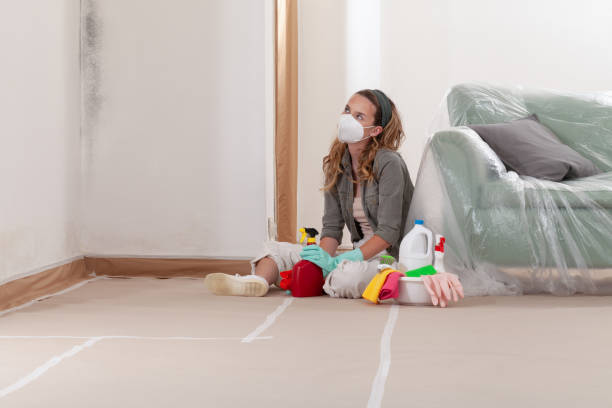 Reliable Commercial Mold Remediation contractor in Warrenton, OR by WQB Mold Removal